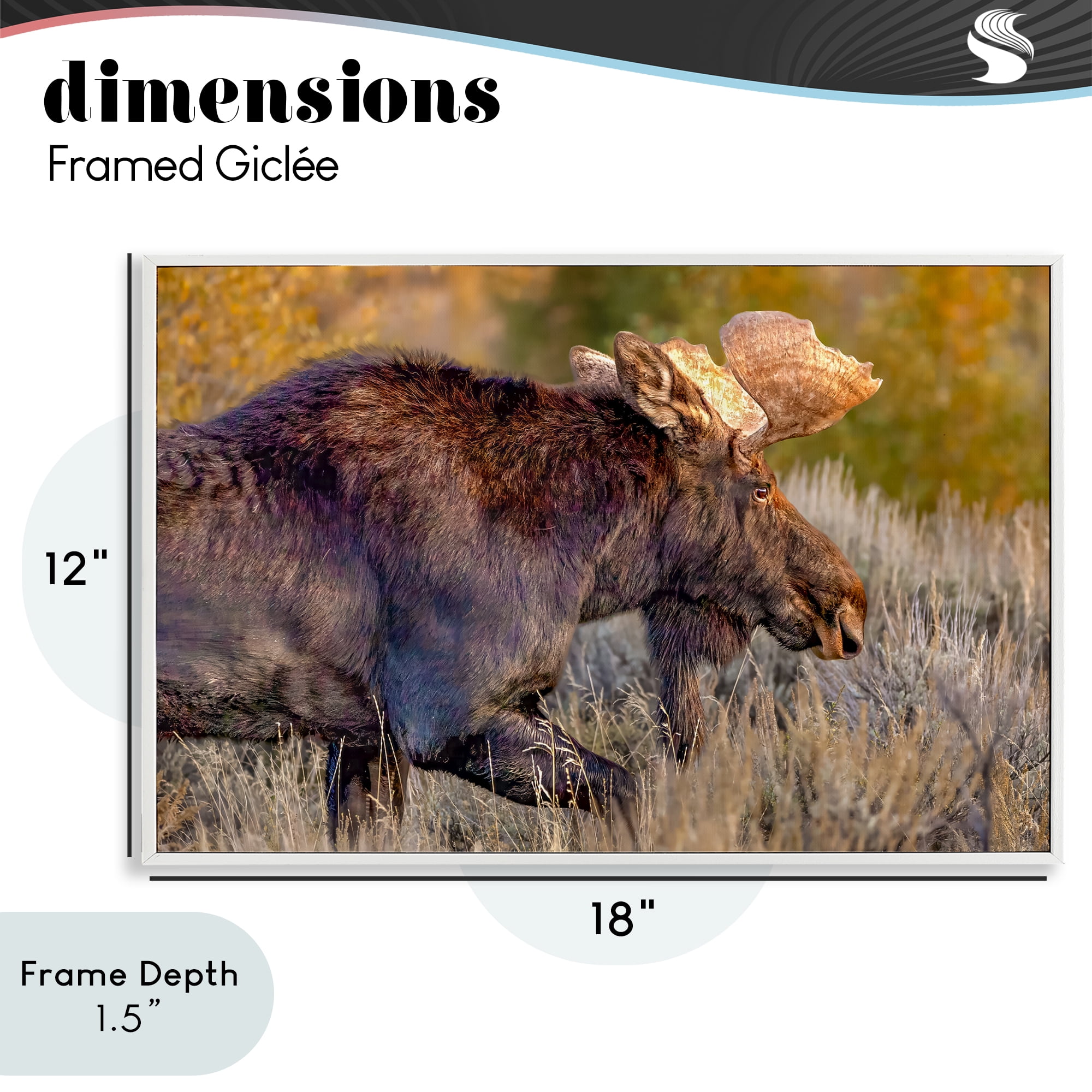 Stupell Industries Bull Moose At Dusk White Framed Giclee Art, design by Shelley Carlisle