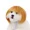 Golden Qi bangs, variant on Pet Wig Dog Wig Pet Supplies Halloween Pet Accessories Curly Hair Straight Hair Cat Wig