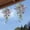 Multicolor-A, variant on Trailing Floral Display, Realistic Outdoor Hanging Flower Cluster, Anti Fade Faux Greenery Decor, Elegant Suspended Accent for Backyard Lawn Courtyard and Landscape