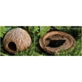thumbnail image 2 of Exo Terra Cocount Cave, Reptile Terrarium Hideout, 2 of 5