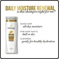 thumbnail image 3 of Pantene Pro-V Daily Moisture Renewal Shampoo, 1.7 fl oz, 3 of 7