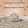 thumbnail image 6 of All For Paws 5-in-1 Tofu Cat Litter, Flushable | Dust-Free | Rapid Clumping | 7/24 Odor Control Nature Pellet Kitty Litter, Coffee Scent, 5.5lb/Pack, 6 of 8