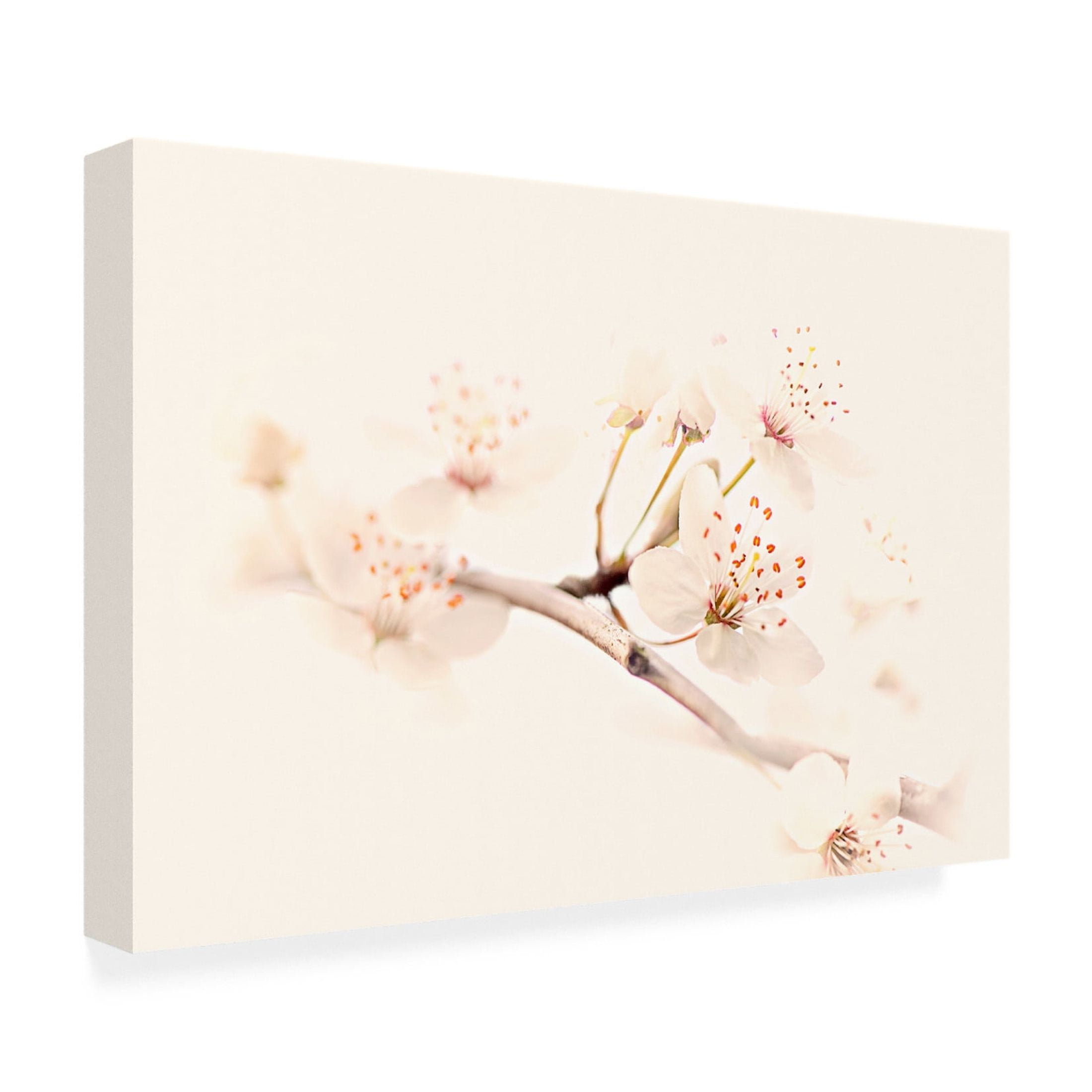 Canvas Wall Art - Jacky Parker 'Harmony Of Spring' Wall Art for Living Room, Bedroom, or Office Décor by Trademark Fine Art - 19 x 12 Inches