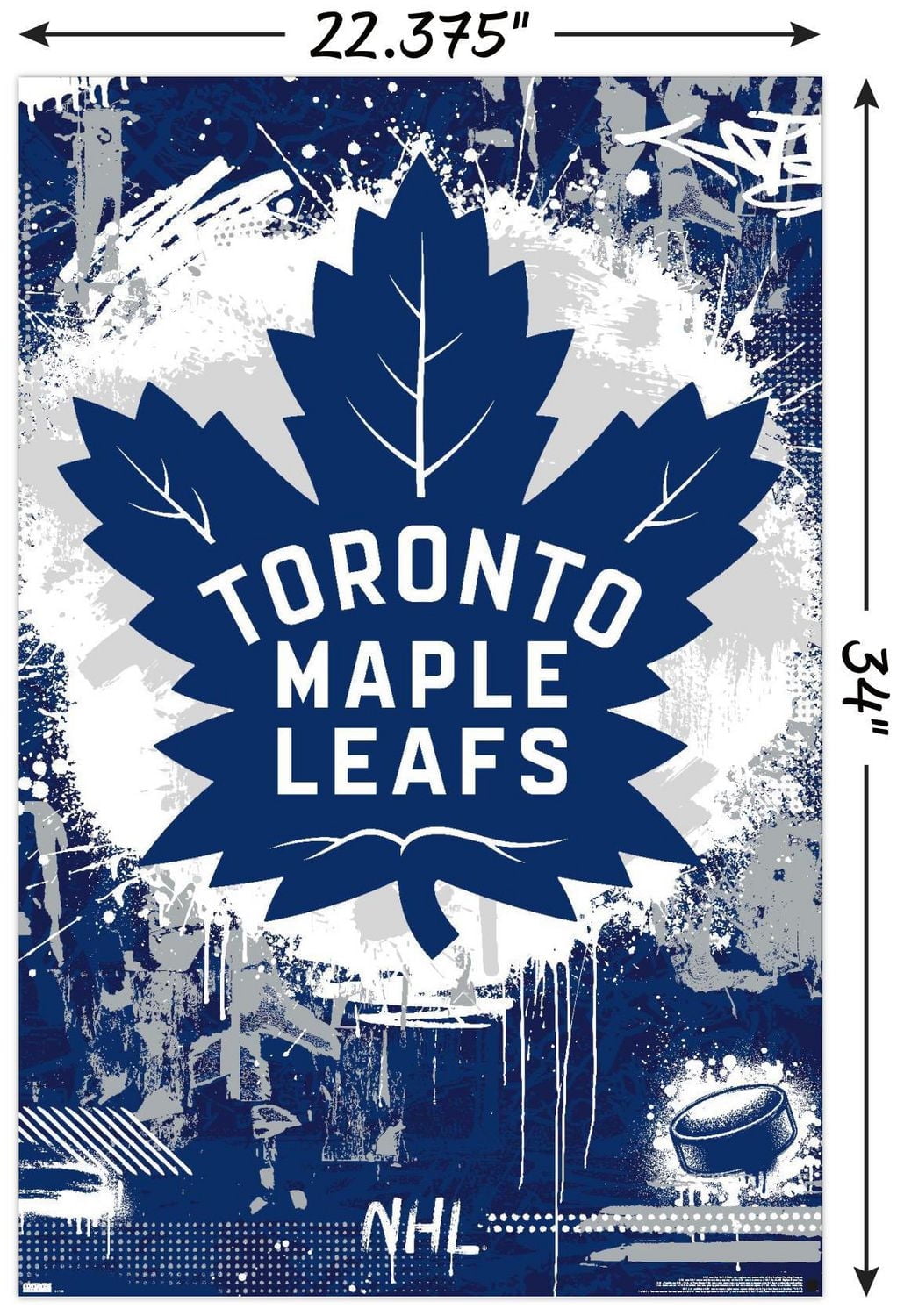 Maple Leafs de Toronto de la LNH