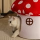 thumbnail image 5 of Cama corta de felpa para gatos, colchón de aire, casa para gatos con hongos, cueva semicerrada, cálida, con forma de planta, tapete extraíble y lavable, ideal para gatos de interior y perros pequeños,, 5 of 7
