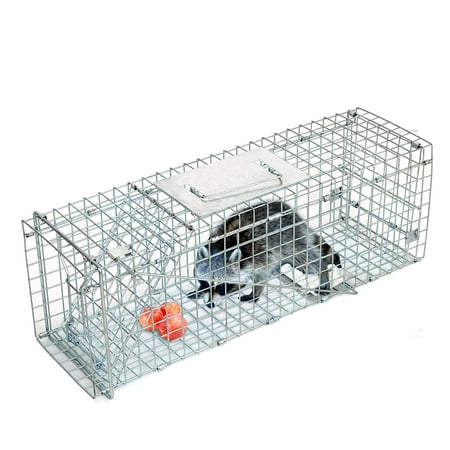 Zeny Humane Live Animal Trap Cage, 24