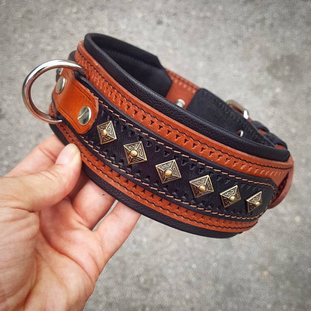 The "Balteus" Brown Leather Dog Collar for Large Dog Breeds