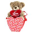 thumbnail image 1 of Way to Celebrate Plush Pal in Gift Box – Teddy Bear, 1 of 4