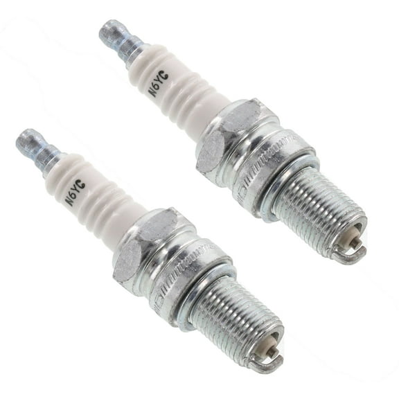 Champion 2 Pack of Genuine OEM Replacement Spark Plugs - N6YC-2PK