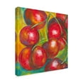 thumbnail image 2 of Trademark Fine Art 'Abstract Fruits III' Canvas Art by Chariklia Zarris, 2 of 4