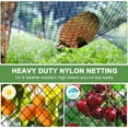 thumbnail image 4 of 33 x 50 ft Garden Netting with 2 in Square Mesh, Reusable Bird Netting for Chicken wire Coop, FifthQuarter Nylon Poultry Net Deer Fence for Protecting Vegetables Fruit Tree from Birds Squirrel, Black, 4 of 9