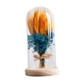 thumbnail image 4 of Regalos de flores para iluminar flores en cúpula de cristal, regalos del Día de San Valentín, lámpara LED de mesa para cafetería, fiesta, aniversario azul Yinane lámpara de noche, 4 of 8