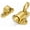 Gold, variant on 2 Packs Self-Closing Latches,Gold Spring Door Lock,Resilient Bolt Latch Aluminum Alloy Safety Automatic Spring Barrel Door Lock with Screws,Used for Wooden Door,Wooden Window and Cabinet etc