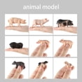 thumbnail image 2 of Inteprter Figuras de acción de animales de aves de corral de granja de simulación, modelo de guardería, dormitorio, adorno para el salón, Decoración 7g Tipo 5, 2 of 6