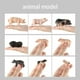 thumbnail image 3 of Figuras de acción de animales de aves de corral Inteprter Decoración Negro 11g, 3 of 6