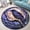 Crow, variant on Round Area Rug, Alien 3 Animal Lover Gift Non-Slip Floor Mat, Soft Washable Carpet for Living Room Bedroom Decor 24 Inch