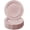Blush, variant on Vintage Design Disposable Salad Plates For Party (10 Pc) Heavy Duty Disposable Dinner Set 9” , Fine Dining Plastic Dishes For Elegant China Look, Great for Upscale Wedding, Dining & Serving - Blush