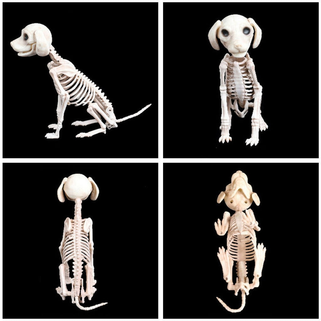 Halloween Skeleton Cat Dog Dragon Prop Animal Bones Party Shop Decoration Horror 