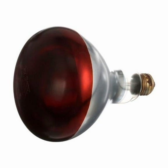 AllPoints B2949509 381133 Infra-Red Lamp - Red - 120V - 250W