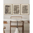 thumbnail image 5 of Drsoum Rustic Famehouse Wall Decor Vintage Tree Art Painting for Office 11x14in3pcs Natural Framed, 5 of 5