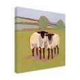 thumbnail image 2 of Victoria Borges 'Suffolk Sheep III' Canvas Art, 2 of 3