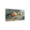 thumbnail image 2 of Trademark Fine Art 'Stampede I' Canvas Art by PHBurchett, 2 of 4