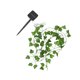 thumbnail image 1 of Toystoory 32.8ft Ivy 100LED Decoración de iluminación Solar Powered LED Fairy Vine Decoración Bombilla Cadenas de Iluminación navideña lámpara 5M 50 Toystoory HA027405-02, 1 of 6