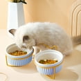 thumbnail image 3 of Cat Bowls, Puppy Ceramic Food and Water Bowls Set, Indoors Pet Bowls with Stand Gold-Sky Blue, 3 of 5