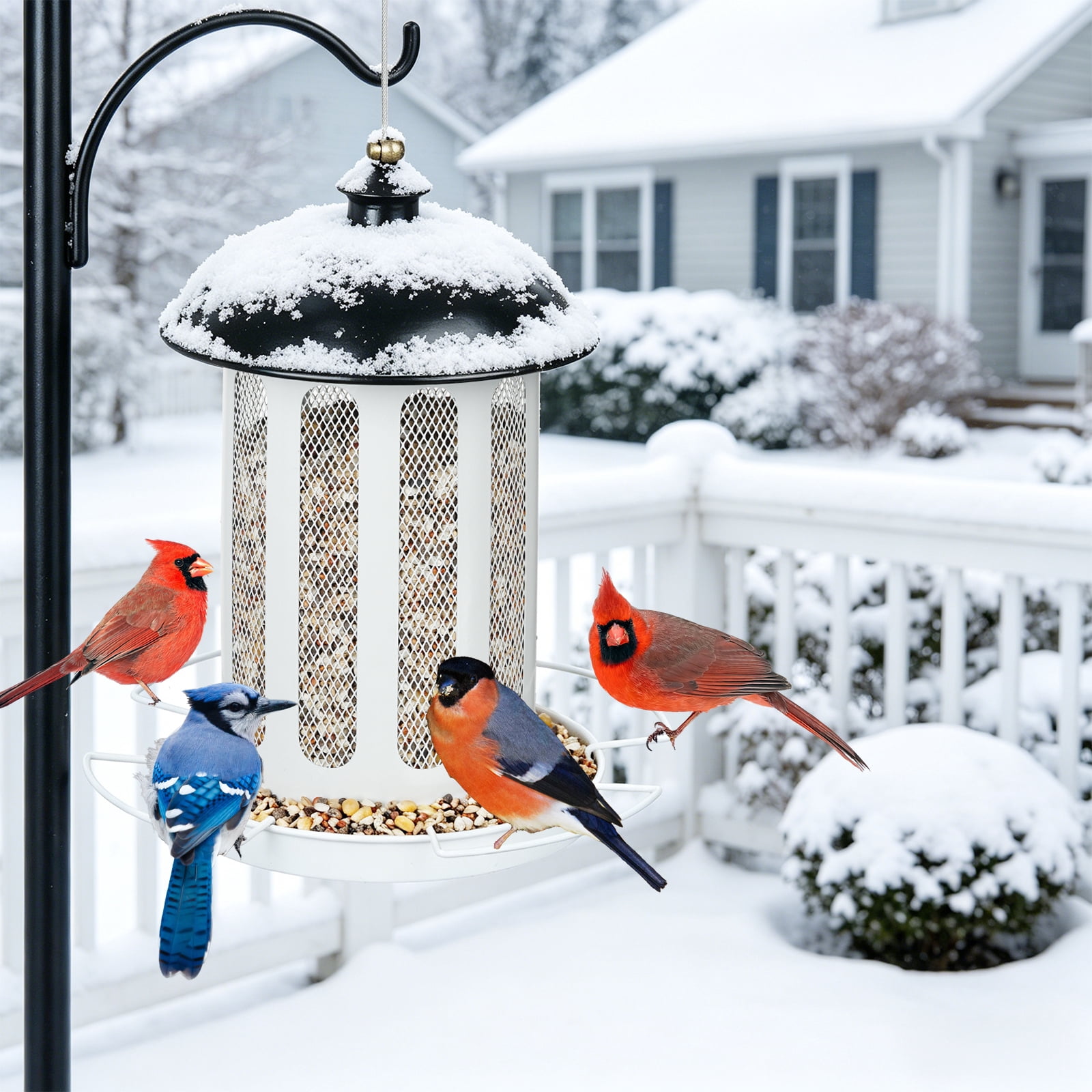 Samhe Bird Feeder, Bird Feeders for Outdoor Hanging, Heavy Duty Metal Wild Birdfeeder 4 lbs Large Capacity, White
