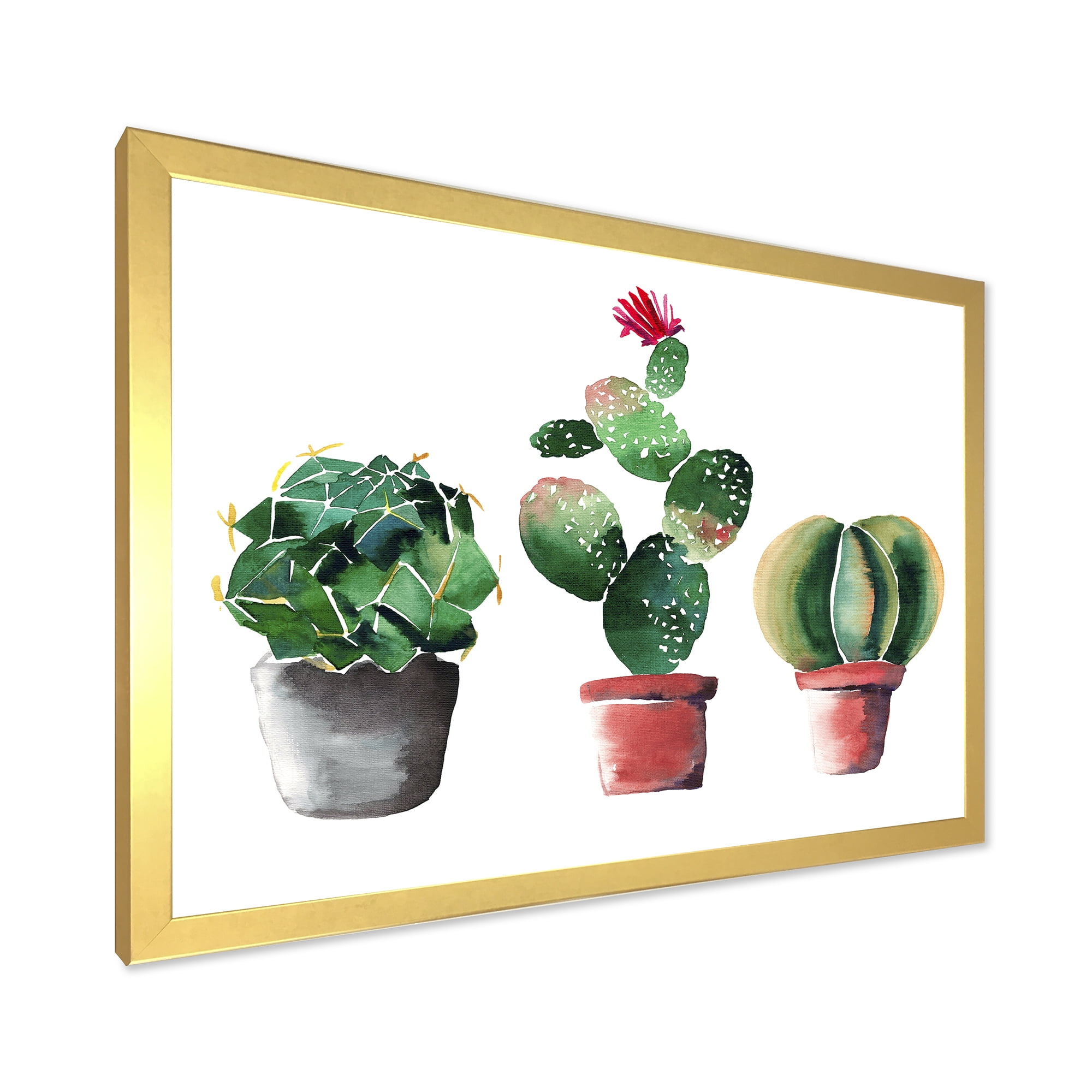 Designart 'Three Cacti In Clay Pots On White' Traditional Framed Art Print