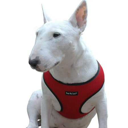 Dogs My Love Soft Mesh Walking Harness For And Puppies 6 Dogs My Love Soft Mesh Walking Harness
