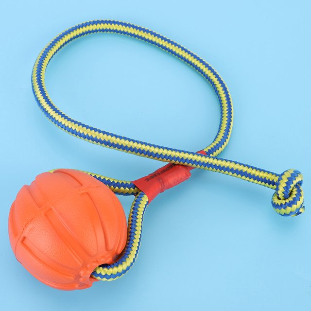 Doggie Disc Ball Small Dogs, Exercise and Reward Tool Ball On Rope Dog Toy Tether Tug Outdoor Dog Toy Rope and Ball Dog Toy for Dog Training, Agility, Pull, and Tug of War