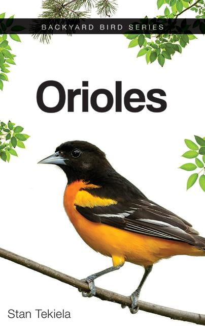7" x 2" Beautiful Colors Book Marker Wildlife Collectibles Oriole 