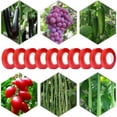thumbnail image 2 of Paquete de 21 clips para atar ramas, máquina para atar ramas, 20 cintas para vivero, 1 caja de grapas para uvas y vides de tomate, 2 of 5