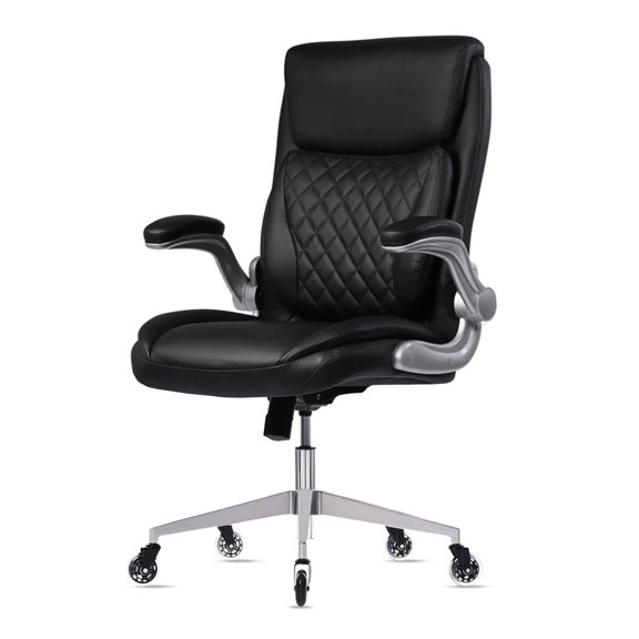 Oline Ergonomic Adjustable Office Desk Chair with Lumbar Support, Black