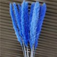 thumbnail image 2 of Wosthever 15 Pieces Small Dried Flower Wedding Anniversary Decoration Bedroom Birthday Celebration Props Engagement Dormitory Kits de decoración para fiestas No.6, 2 of 6