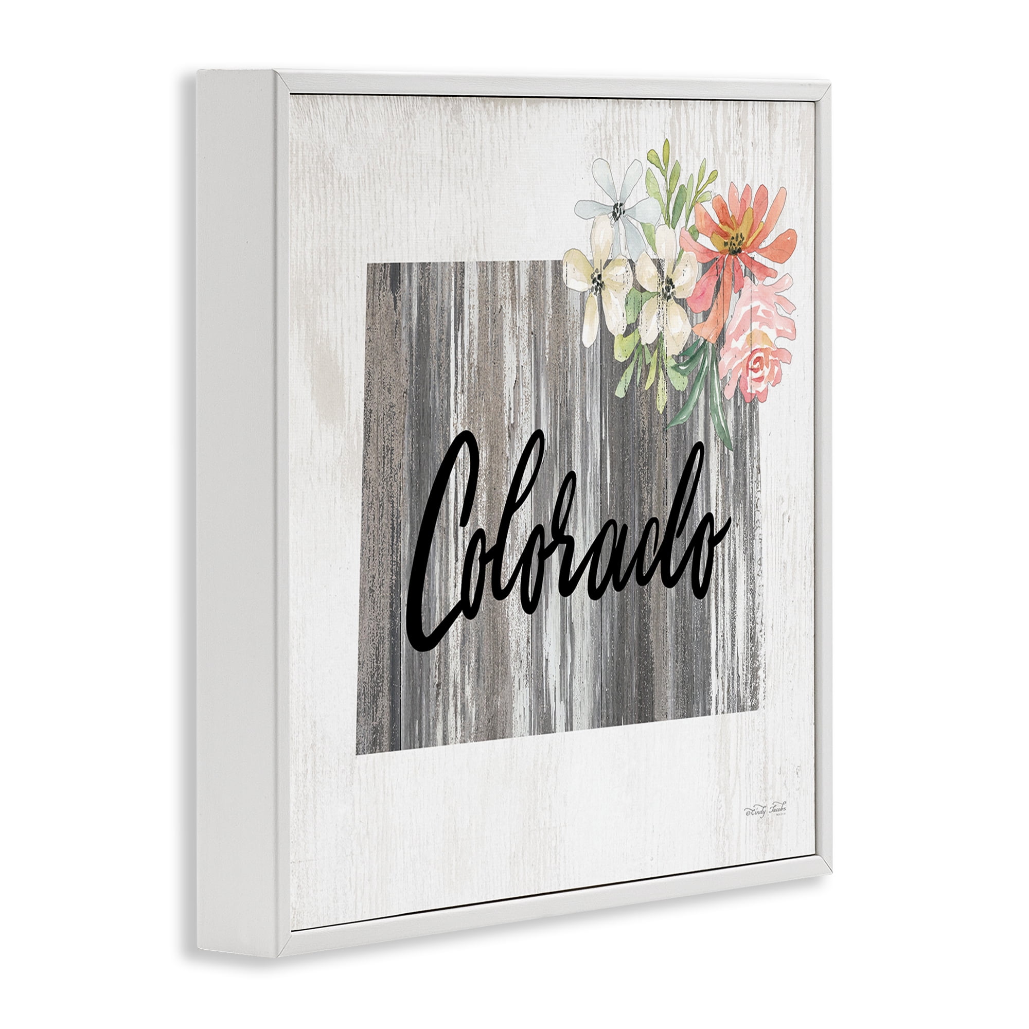 Stupell Industries Shabby Chic Colorado Botanical & Floral Painting White Framed Art Print Wall Art, 24 x 24