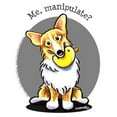 thumbnail image 3 of CafePress - Corgi Manipulate Women's Dark Pajamas - Women's Short Sleeve Print T-Shirt and Pants Dark Cotton Pajama Set, 3 of 7