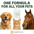 thumbnail image 5 of Oatmeal Shampoo – Vet-Recommended Itch Relief for Dogs, Cats  Horses – Hypoallergenic, Moisturizing  Deodorizing – 1 Gallon – Made in USA, 5 of 7