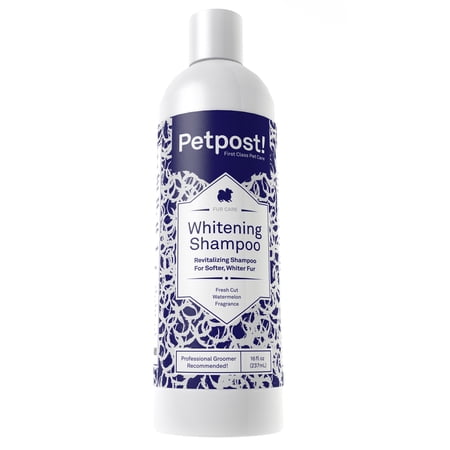 Petpost Dog Whitening Shampoo Best Lightening Treatment For