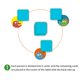 thumbnail image 2 of Juego de cartas cognitivo para niños, juego de mesa, juego educativo de cartas de aprendizaje, juego interactivo para padres e hijos, 2 of 7