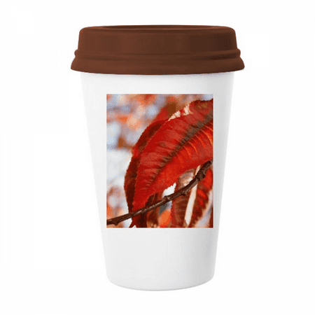 

Red Maple Nature Picture Mug Coffee Drinking Glass Pottery Cerac Cup Lid
