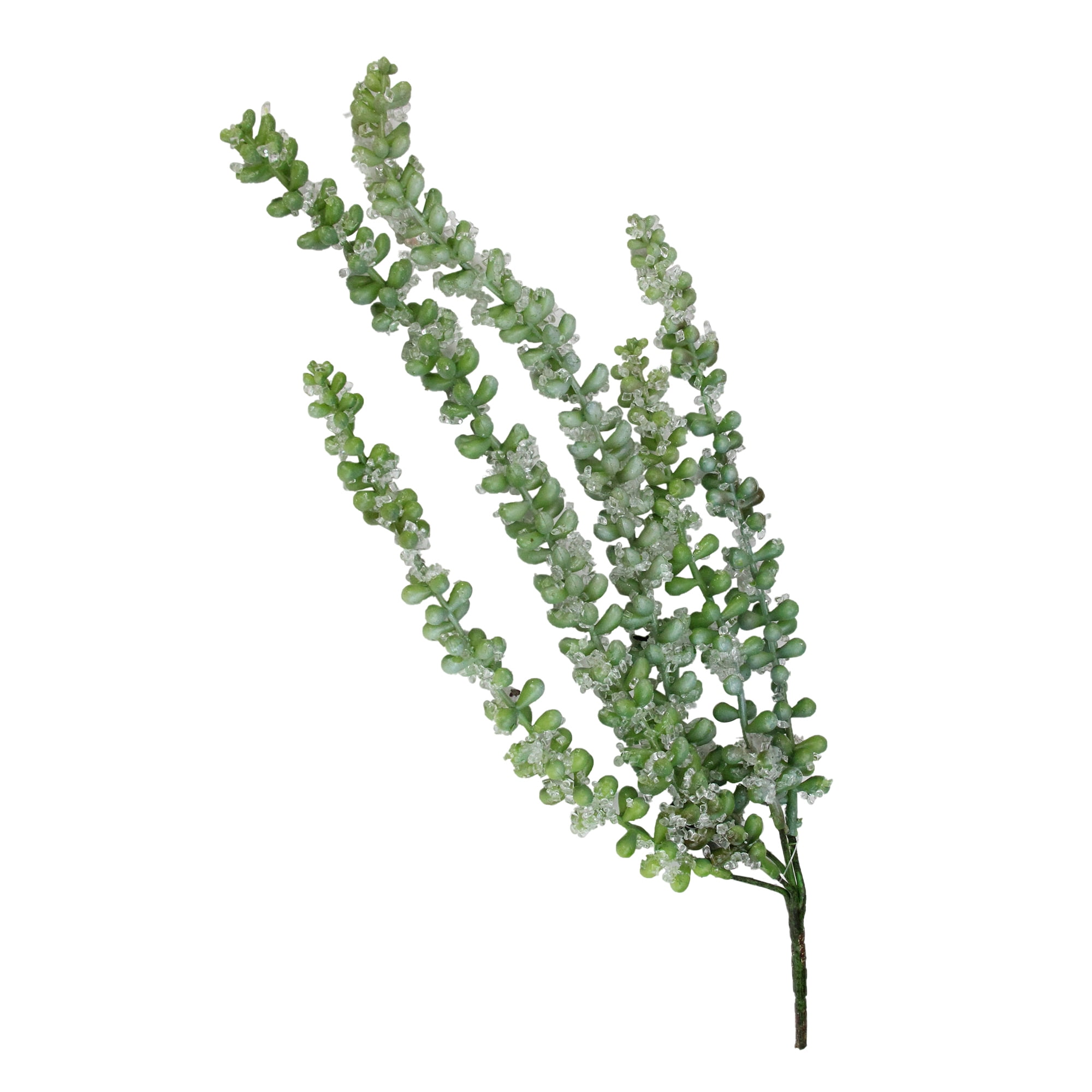 Allstate Floral 16.5' Frosted Donkey's Tail Artificial Succulent Spray