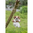 thumbnail image 1 of Harnais Jack Russell Terrier Chiot, 1 of 5