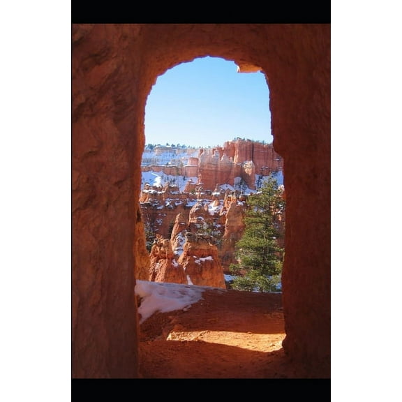 The Taylor Saga: Stalking Taylor (Paperback)