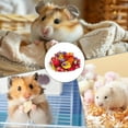 thumbnail image 4 of Natural Dried Flower Hamster Bedding Odor Control Forage Soft Gerbil Nesting Material Small Animal Cage Accessory Chew Toy, 4 of 4