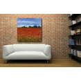 thumbnail image 4 of Epic Art 'Field of Poppies II' by Tim O'Toole, Acrylic Glass Wall Art, 36"x36", 4 of 6