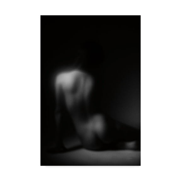 Trademark Fine Art 'Silhouette Of Body' Canvas Art by Aledanda
