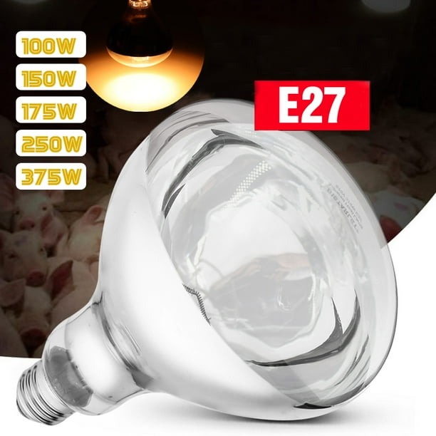 Brooder lamp 2024 canadian tire