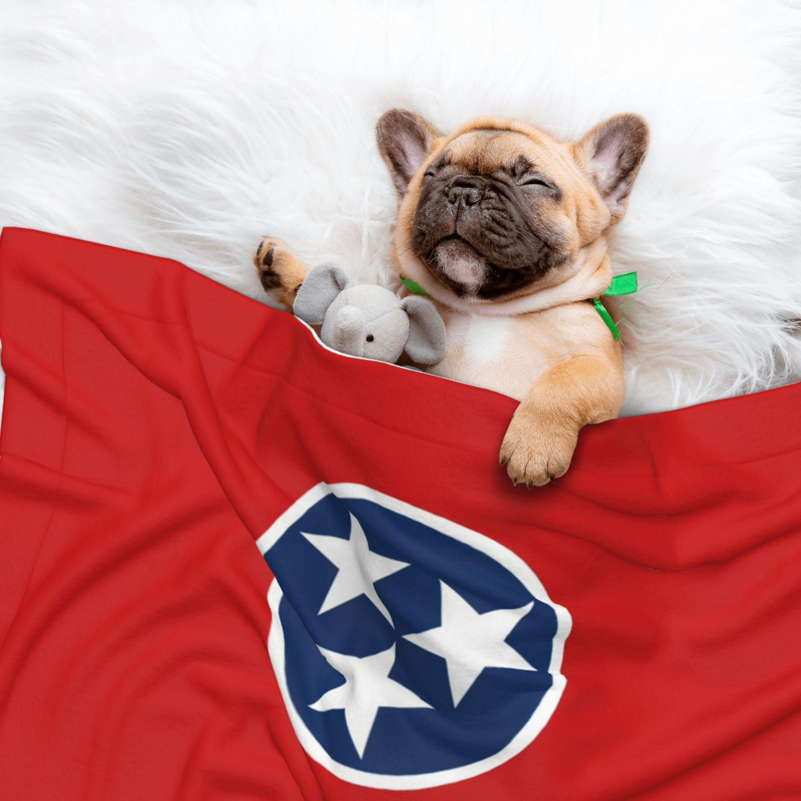Tennessee Flag Dog Blanket Soft Warm Flannel Cat Blanket Great Pet Throw for Cats Puppy Small Medium Large Dog